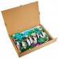 Preview: Gangzai rectangular Tray, Pingarden paint Lacquer multicolor, gift box